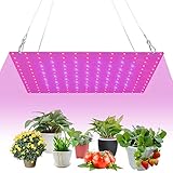 lampe für pflanzen kaufen 💗Effiziente Lumineszenz, umfassendere Bestrahlung von Pflanzen, ausreichend Licht, kann das Pflanzenwachstum fördern.