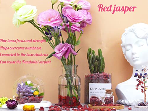 Image of Red Jasper Aquarium Gravel Rocks Natural Tumbled Healing Crystal Chips Bulk Gemstones Tumbled Crushed Stones for Fountain Vase Filler Planters Decorative Fish Tank Potted Reiki Energy Balancing 0.44lb