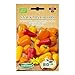 Paprika Snack Mix Colors