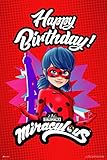 Miraculous Ladybug Happy Birthday Banner Party Decoration Cat Noir Cartoon TV Series Movie Ladybug...