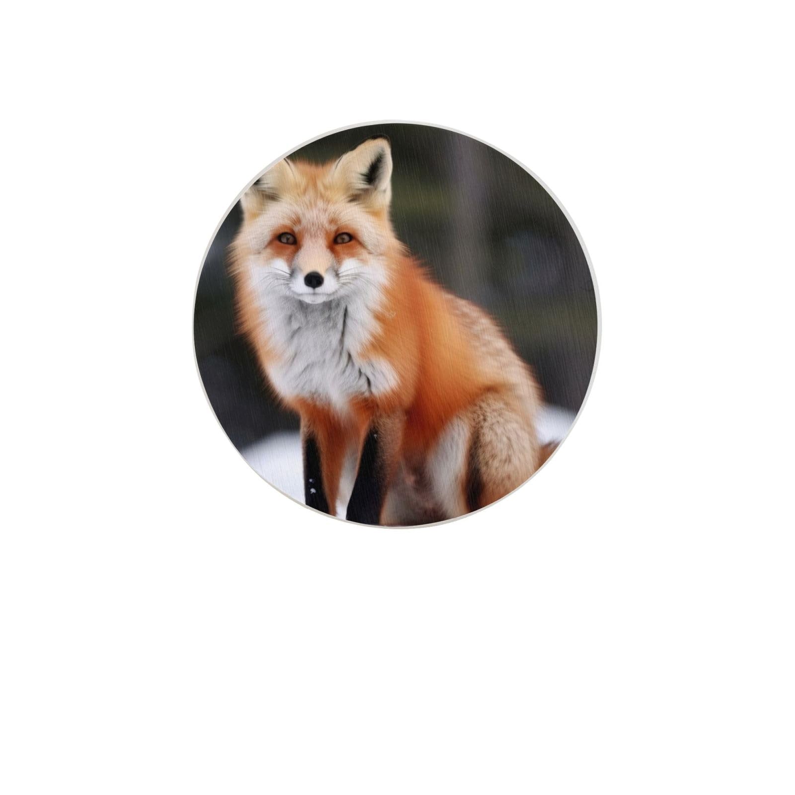 Funny Fox Absorbent Drink Coasters Diatomaceous Round Coaster 4 Inch Reusable Cup Coasters Set 4pc