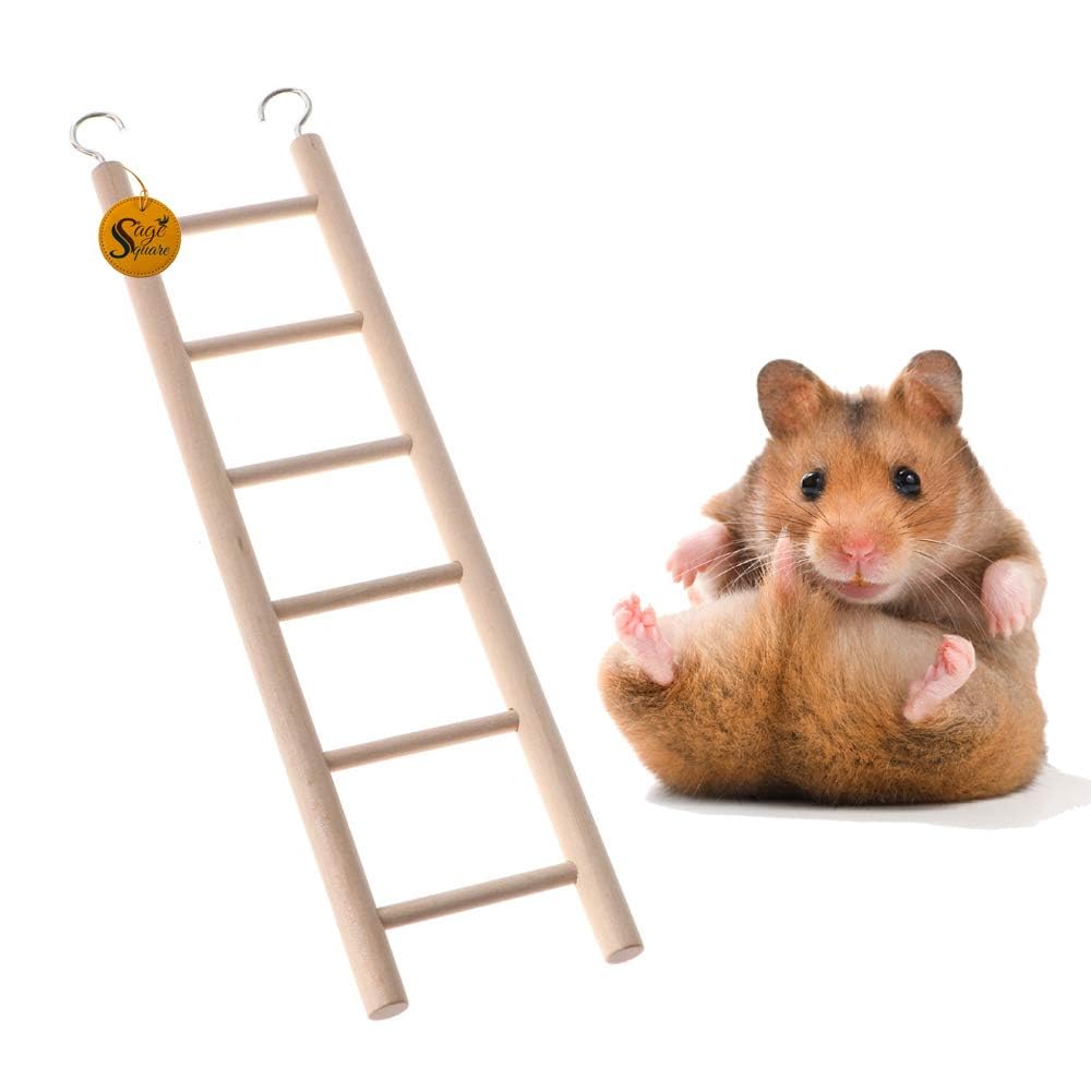 Sage Square Hamster Playful Natural Wooden Climbing Ladder Toy for Exercise & Fun || Hooks to Hang || Cage Accessories || for Hamsters, Sugar Glider, Dwarf, Rat, Mice, Gerbil || 6 Stairs / 30cm-image-37