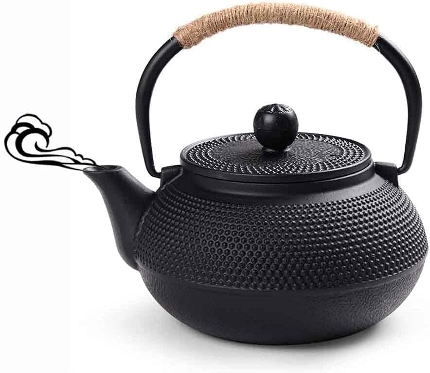 Tetera de Hierro Fundido Japonesa Tetsubin con infusor de acero inoxidable 600ml