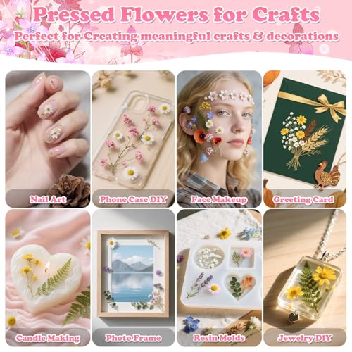 Image of Evatage 630 Pcs Dried Pressed Flowers & Butterfly Stickers for Resin Crafts | Real Dry Florals Plants Leaves for Resin Jewelry Molds, Candle, Soap, Scrapbook, Bookmark, Frame, Card Making, Nail Art Decor