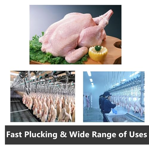 Máquina desplumadora de pollo de acero inoxidable de larga durabilidad para comercio 8