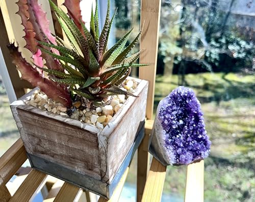 Image of Premium Amethyst Geode Stone Cluster [.75 pound to 1 pound] - Each Piece is Unique & Natural - Real Raw Healing Crystal Rock from Uruguay - Deep Purple Decoration - FREE Selenite Wand