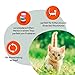 GRAU – das Original – Nassfutter für Katzen - Mischtray Kitten Generation Pet, 6er Pack (6 x 200 g), Mix aus verschiedenen Menüs, für Kitten