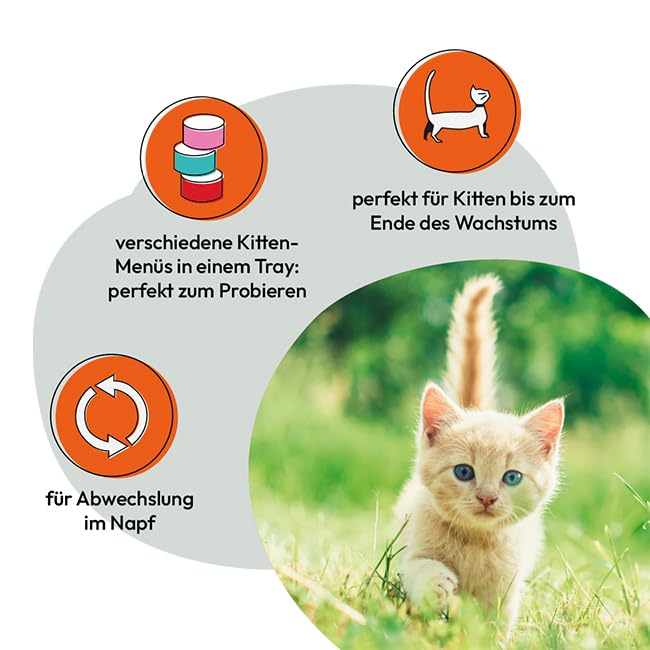 GRAU – das Original – Nassfutter für Katzen - Mischtray Kitten Generation Pet, 6er Pack (6 x 200 g), Mix aus verschiedenen Menüs, für Kitten