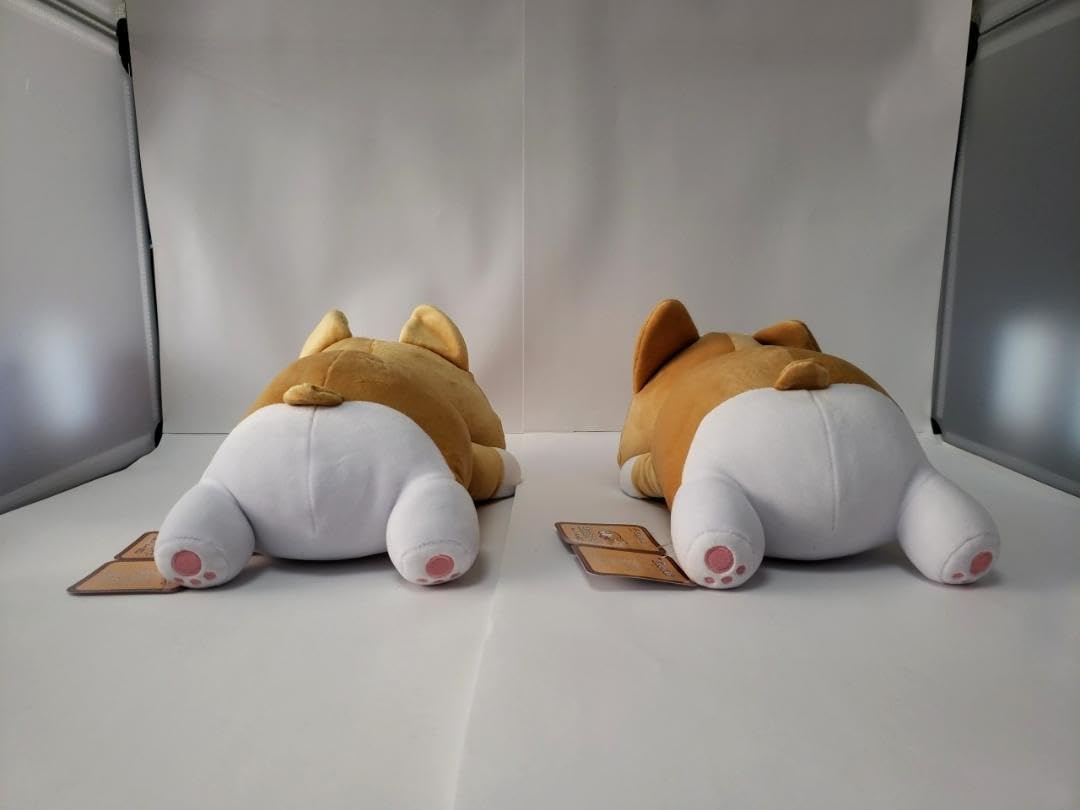 Amazon.co.jp: まるまるコーギー ましゅもっち ぬいぐるみ 全2