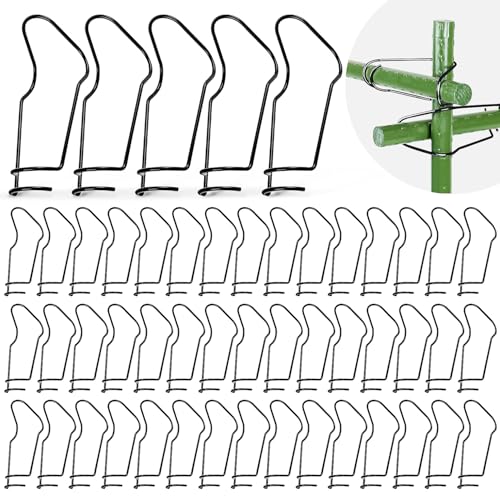 WDZGX Pflanzenspalier Verbindungsschnallen 50Stk 11mm Pflanzenverbindungsschnallen Pflanzenkäfig Verbinder Bambusklammern für Garten zum Bambusgitter Rankgerüst Selber Bauen Optimale Rankhilfe (11mm)