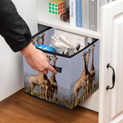 Boîte de rangement pliable pour jouets et vêtements de chambre