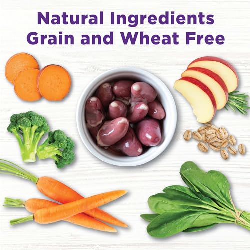Image of Wellness Bowl Boosters Joint Health Dog Food Topper with Freeze Dried Pieces for Small, Medium, and Large Breeds, Grain Free, Natural, Chicken Recipe, 4 oz Bag