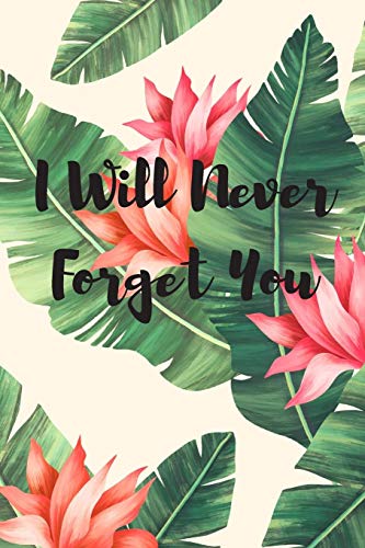 I Will Never Forget You: Password Logbook With Encryption Cipher (A True Discreet Password Keeper, No Words On Spine)