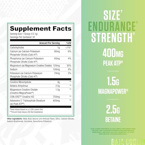 RYSE Loaded Creatine for Men & Women - Baja Cooler - Muscle Building Formula with 3 Forms of Electrolytes, Betaine Anhydrous and Peak ATP - Strength, Power & Endurance Support - 30 Servings