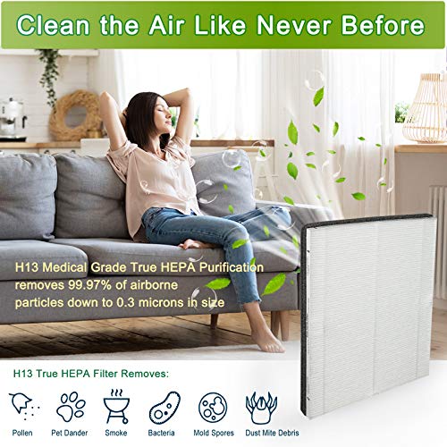 Flintar Md1-0022 True Hepa Replacement Filter, Compatible With Vornado Air Cleaner Purifier Model Ac300, Ac350, Ac500, Ac550, Pco200, Pco300, Pco375Dc, Pco500 And Pco575Dc (1-Pack) #TOP2
