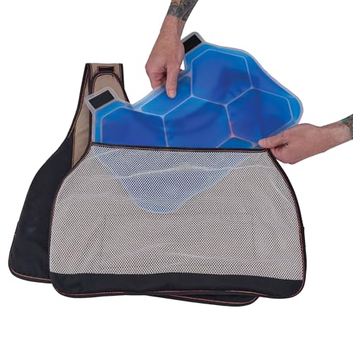 Pack de glace pour gilet Ergodyne Chill Its 6220 transparent x2