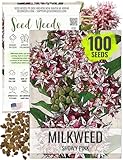 Seed Needs Showy Milkweed Seeds for Planting - Untreated & Open Pollinated, Attracts Monarch Butterflies in a Butterfly Garden (1 Pack)