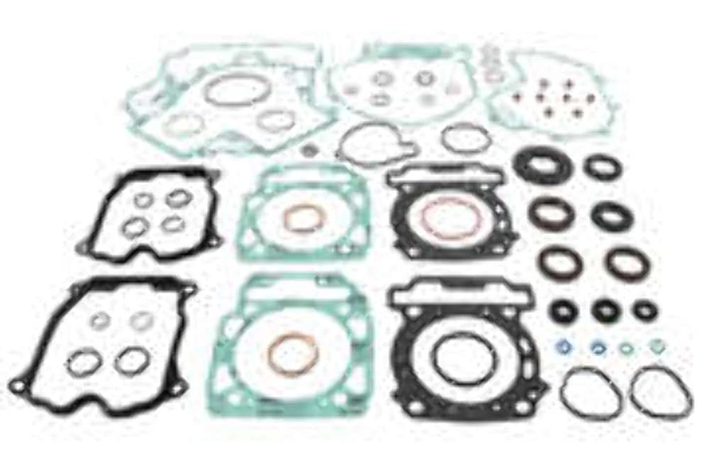 Quadboss 811982QB Complete Gasket Set with Oil Seals