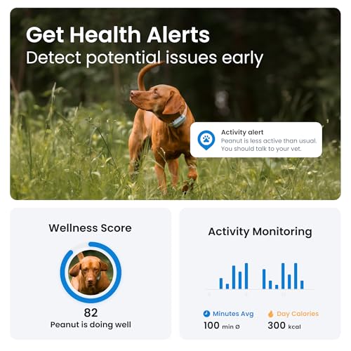 Tractive GPS Dog Tracker (2025 Release) Real-time Pet Location Tracker | Health & Wellness Alerts | Virtual Fence for Dogs | Bark Monitoring (Mint w/Pink Cover) - Thumbnail 3