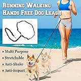BenefitUSA Hands Free Running Dog Leash with Reflective Strip Tranning Pet Leash for Jogging Walking Hiking (Black)