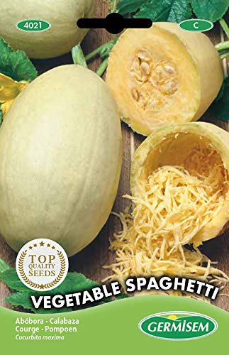 Germisem graines Courge VEGETABLE SPAGHETTI