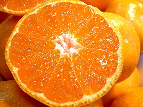 Lc݂ 3kg a̎RLcY {̕iiɑEEEӐj