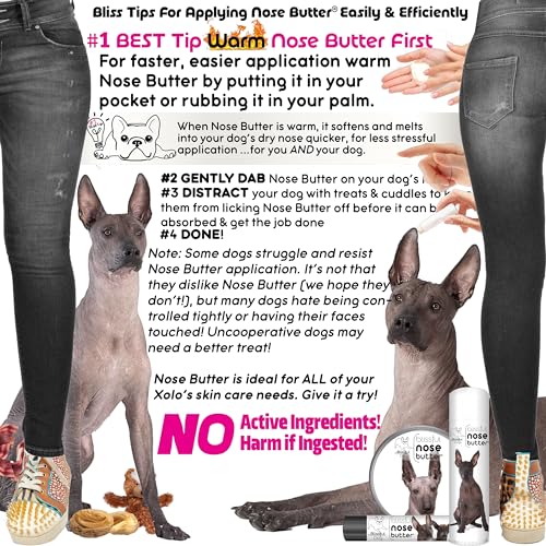 Image of The Blissful Dog Xoloitzcuintli Nose Butter for Dry, Cracked Skin, Lick-Safe Dog Nose Balm with Moisturizing Shea Butter, Almond, Olive, and Essential Oils, Pet Supplies, Uncented, 2 oz.