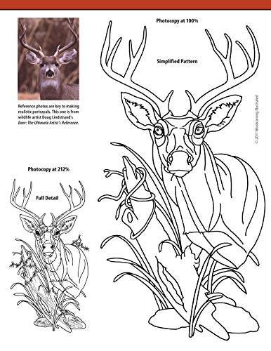 Relief Carving Projects & Techniques (Best of WCI): Expert Advice and 37 All-Time Favorite Projects and Patterns