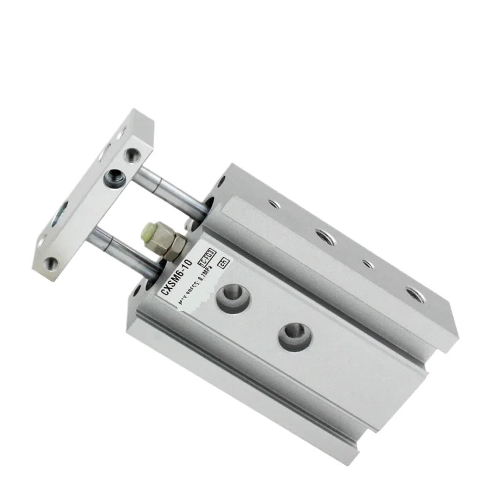 Vérin pneumatique CXSM6-40 double tige avec guidage par palier lisse