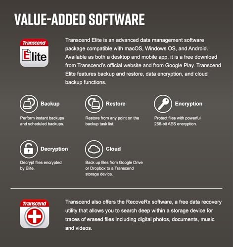 JetFlash 810 USB 3.1 Gen 1 da 256 GB, chiavetta USB robusta - TS256GJF810 - Chiavetta USB - Immagine 5
