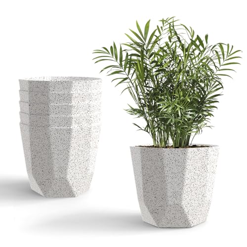 Image of YUCCABE ITALIA SHERA Hexa Plastic Planter Pot for Plants | Decorative Flower Pot | UV Protected Lightweight Indoor Outdoor Gamla for Home Decor, Balcony, Garden & Living Room