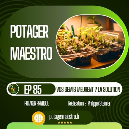 Fonte des semis : pourquoi vos plants meurent et comment l'&eacute;viter 🌱