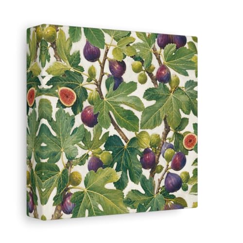 Toile canvas de figues haut de gamme 15x15 cm avec châssis épais effet galerie