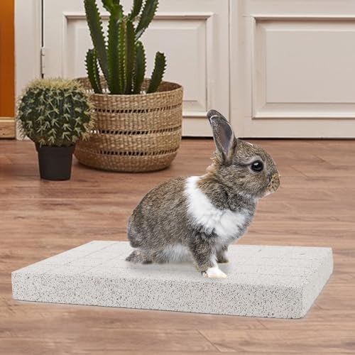 Jouet à mâcher pour lapin gerbille chinchilla pierre de lave - 5