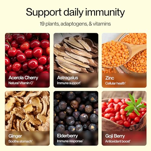 Image of Feel Goods Immunity Icon, Vitamin C Immune Support Powder Packets, 15 Count | Immunity Plus, 500mg Vitamin C, Elderberry, Ginger, Turmeric, Vitamins for Immune Health, Sugar-Free, Caffeine-Free Drink Mix