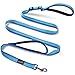 Double Handle Dog Leash, PETBABA Adjustable 6ft Long Dog Leash Reflective with Traffic Handle For Dogs Blue