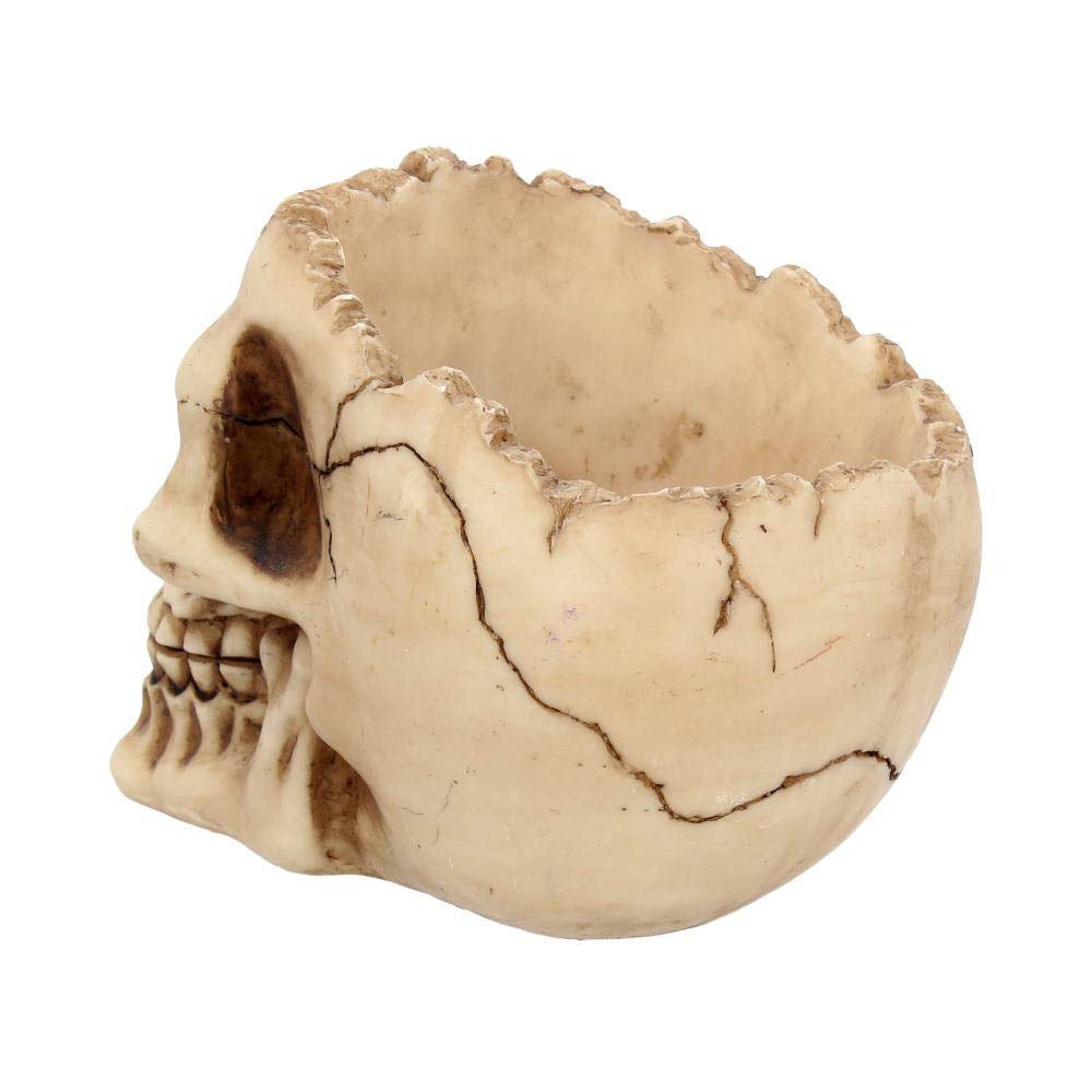 Nemesis Now popielniczka Lobo 13,5 cm w kolorze kości słoniowej