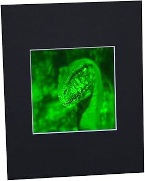 3D Velociraptor 2-Channel Hologram Picture MATTED, Collectible Photopolymer Type Film