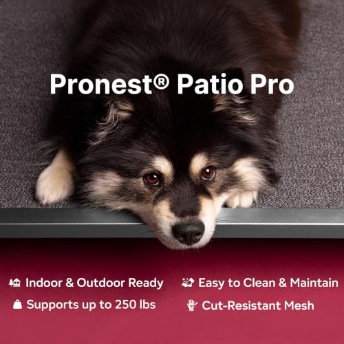 Image of Chew Proof Elevated Dog Beds Medium Large Sized, Aluminum Alloy Dogs Supplies Raised Cot for Cooling Indoor /Outdoor /Camping Use Washable Pet Bed for Crate-48.4 inchx 32.7 inch x 7 inch, Gray