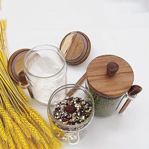 Piscepio Set Of 3 Glass Jars Containers With Wooden Lids And Scoop Clear Canister Jars Set With Spoon For Kitchen Food Storage Coffee Tea Sugar Decorative Countertop Organization Jars 31 Oz (3) #TOP2
