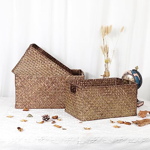 Panier de rangement en jonc de mer Hipiwe rectangulaire pour étagère - 7