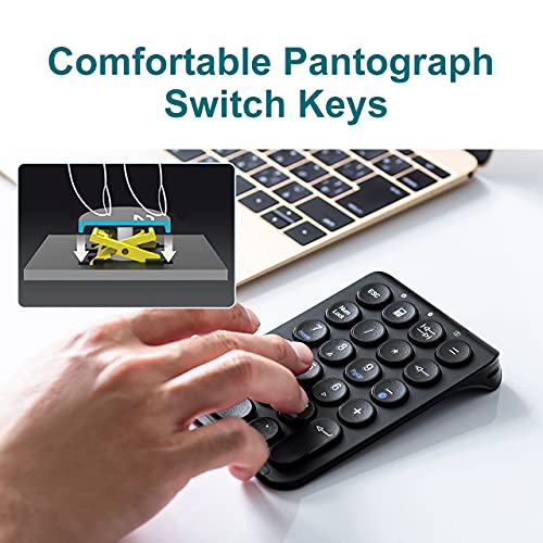 Sanwa Bluetooth Numeric Keypad, Rechargeable Wireless Ten Key Number Pad, 22-Key Portable & Slim Financial Accounting Numpad For Laptop Computer, Compatible With Macbook, Windows, Android, Ios, Black #TOP3