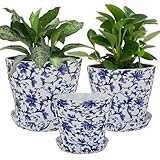 Photo Gallery bstmome 3 vasi da fiori creativi blu e bianchi, fioriere rotonde in pp con foro di drenaggio e vassoi, vaso retrò per piante grasse, cactus, fiori di cactus, decorazione da giardino per interni Photo Gallery bstmome 3 vasi da fiori creativi blu e bianchi, fioriere rotonde in pp con foro di drenaggio e vassoi, vaso retrò per piante grasse, cactus, fiori di cactus, decorazione da giardino per interni