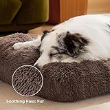 BEDSURE Flauschiges Hundebett Grosse Hunde - 104x69x8 cm Hundebett waschbar für große Hunde, rutschfeste Unterseite, plüsch Hundekissen, Braun