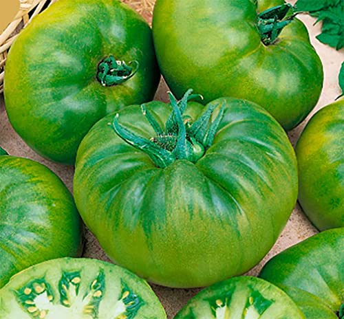 Cherokee Green Heirloom Tomato Seeds - Large Tomato - Most Delicious of The Green Tomatoes for Home Growing,