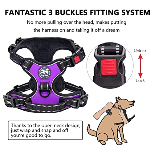PoyPet No Pull Dog Harness with Neck Release Buckle, Reflective No-Choke Harness with 2 Leash Clip - Image 4