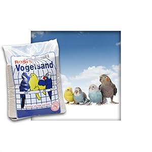 Kieskönig Vogelsand Naturweiss mit Kalk u. Anis 2,5 kg