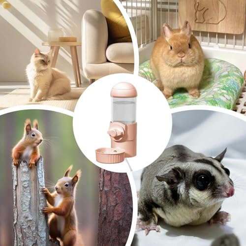 Distributeur d'eau pour chenil chauffé pour animaux sur terrasse - 5