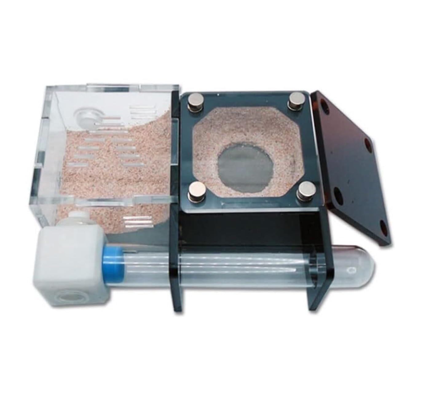 Formicarium Hormiga Caja De Granja De Hormigas, Hormiguero De Tierra Profunda Con Área De Alimentación, Taller De Hormiguero Para Mascotas Con Alimentador De Agua, Nido De Hormigas Granja Hormigas