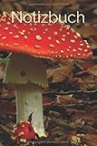  Notizbuch: Buch, Tagebuch, Fliegenpilz, Freundebuch, Pilz, Herbst, Glückspilz, Natur Cover, 6 x 9 Zoll, Punktraster